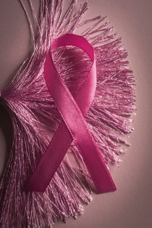 Come posso prevenire le infezioni urinarie in un gatto di razza British Shorthair?